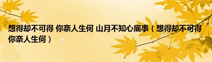 想得却不可得 你奈人生何 山月不知心底事（想得却不可得 你奈人生何）