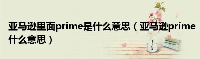 亚马逊里面prime是什么意思（亚马逊prime什么意思）