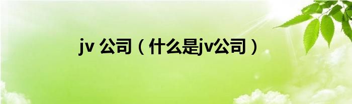 jv 公司（什么是jv公司）