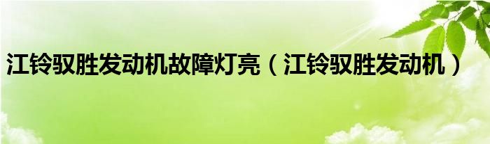 江铃驭胜发动机故障灯亮（江铃驭胜发动机）