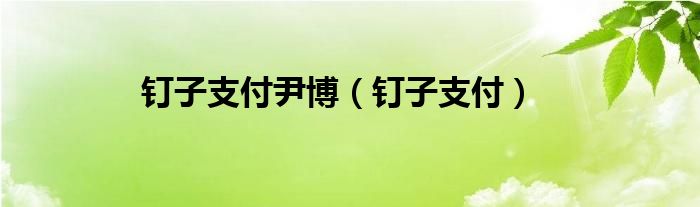 钉子支付尹博（钉子支付）