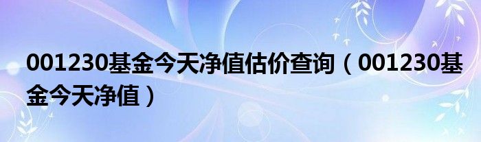 001230基金今天净值估价查询（001230基金今天净值）