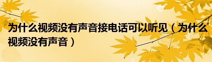 为什么视频没有声音接电话可以听见（为什么视频没有声音）