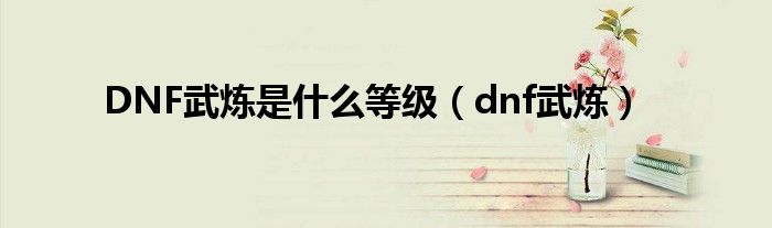 DNF武炼是什么等级（dnf武炼）