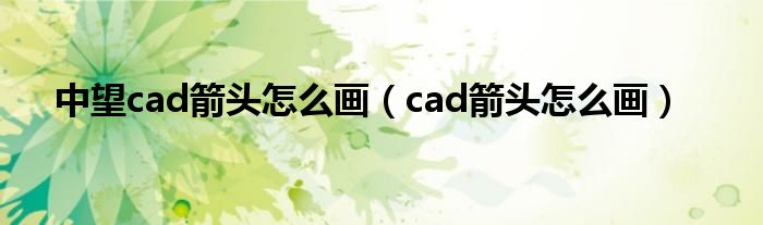 中望cad箭头怎么画（cad箭头怎么画）