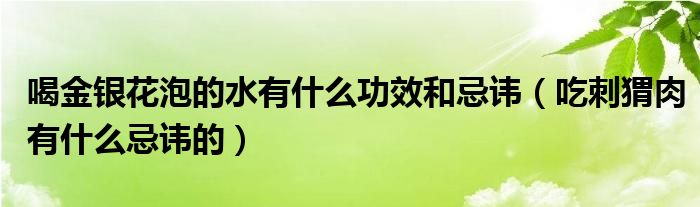 喝金银花泡的水有什么功效和忌讳（吃刺猬肉有什么忌讳的）