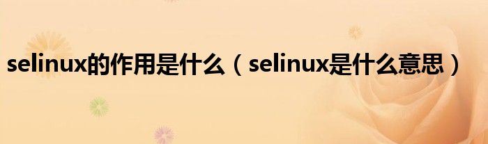 selinux的作用是什么（selinux是什么意思）