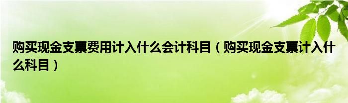 购买现金支票费用计入什么会计科目（购买现金支票计入什么科目）