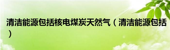 清洁能源包括核电煤炭天然气（清洁能源包括）