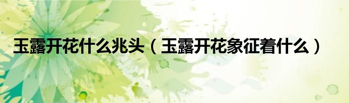 玉露开花什么兆头（玉露开花象征着什么）