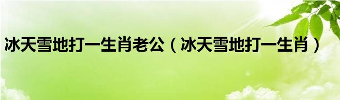 冰天雪地打一生肖老公（冰天雪地打一生肖）