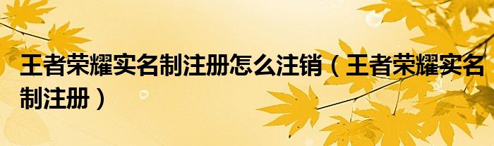 王者荣耀实名制注册怎么注销（王者荣耀实名制注册）