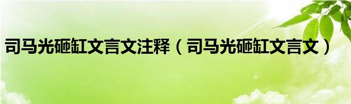 司马光砸缸文言文注释（司马光砸缸文言文）