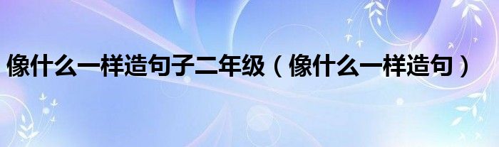 像什么一样造句子二年级（像什么一样造句）