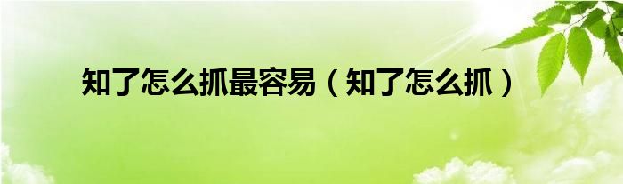 知了怎么抓最容易（知了怎么抓）