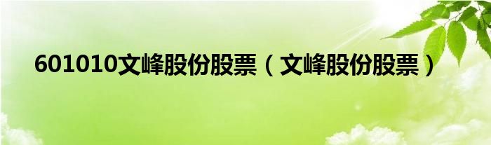 601010文峰股份股票（文峰股份股票）