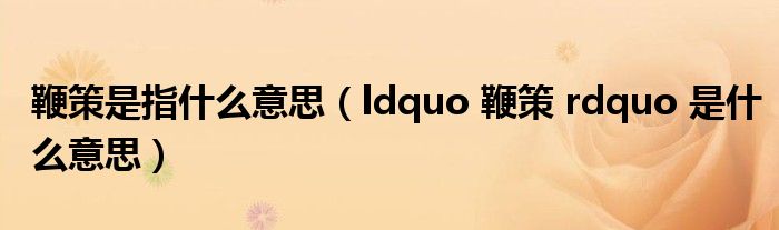 鞭策是指什么意思（ldquo 鞭策 rdquo 是什么意思）