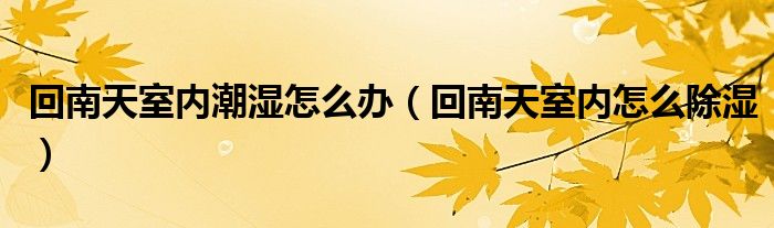 回南天室内潮湿怎么办（回南天室内怎么除湿）