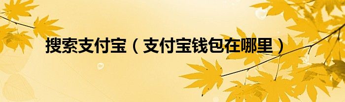 搜索支付宝（支付宝钱包在哪里）