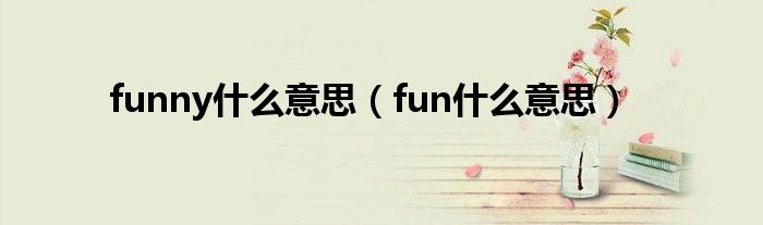 funny什么意思（fun什么意思）