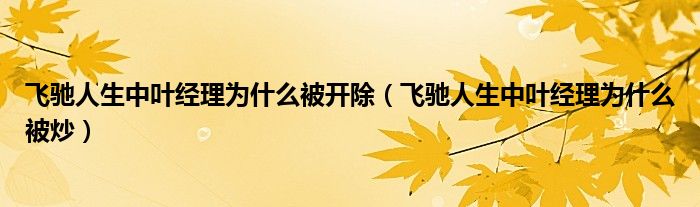 飞驰人生中叶经理为什么被开除（飞驰人生中叶经理为什么被炒）