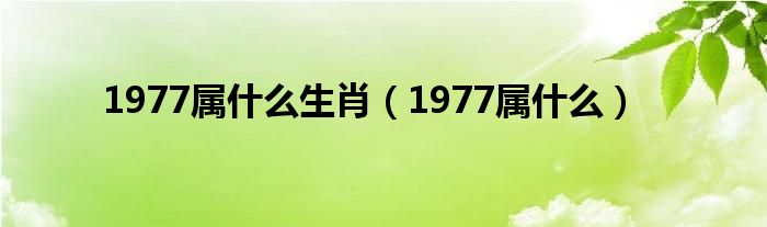 1977属什么生肖（1977属什么）