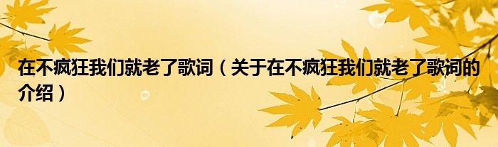 在不疯狂我们就老了歌词（关于在不疯狂我们就老了歌词的介绍）