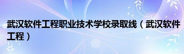 武汉软件工程职业技术学校录取线（武汉软件工程）