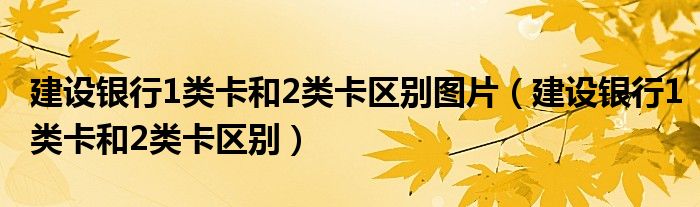 建设银行1类卡和2类卡区别图片（建设银行1类卡和2类卡区别）