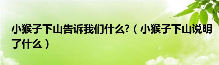 小猴子下山告诉我们什么?（小猴子下山说明了什么）