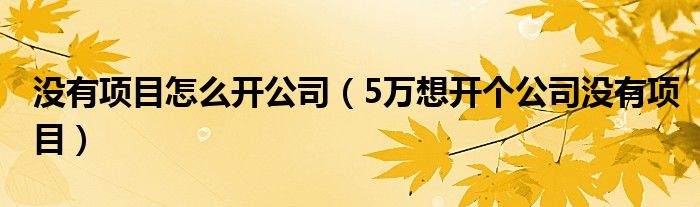 没有项目怎么开公司（5万想开个公司没有项目）