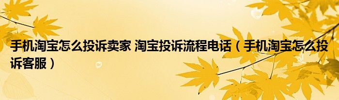 手机淘宝怎么投诉卖家 淘宝投诉流程电话（手机淘宝怎么投诉客服）