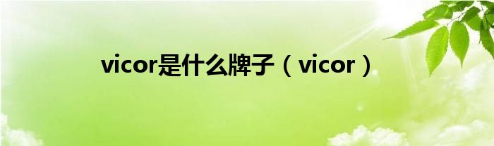 vicor是什么牌子（vicor）