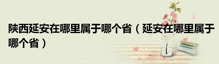 陕西延安在哪里属于哪个省（延安在哪里属于哪个省）