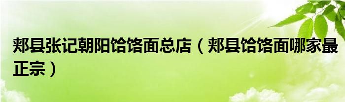 郏县张记朝阳饸饹面总店（郏县饸饹面哪家最正宗）