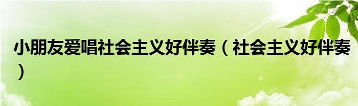 小朋友爱唱社会主义好伴奏（社会主义好伴奏）