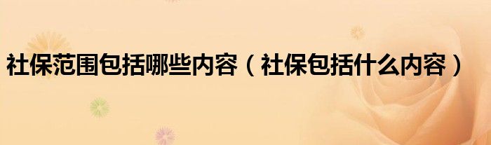 社保范围包括哪些内容（社保包括什么内容）