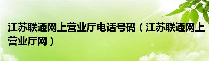 江苏联通网上营业厅电话号码（江苏联通网上营业厅网）