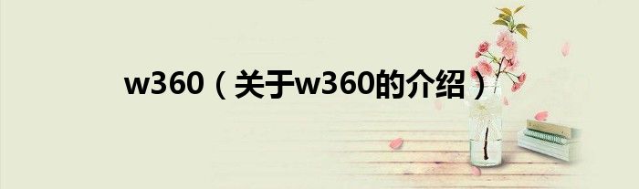 w360（关于w360的介绍）