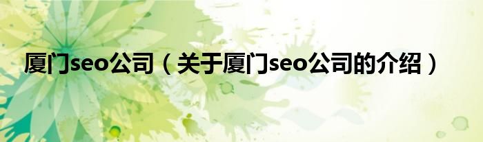 厦门seo公司（关于厦门seo公司的介绍）