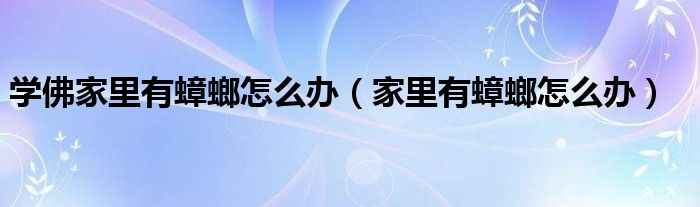 学佛家里有蟑螂怎么办（家里有蟑螂怎么办）