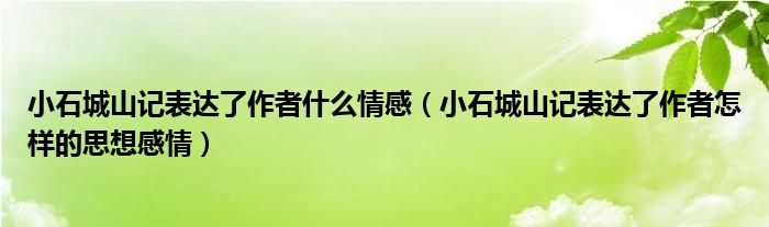 小石城山记表达了作者什么情感（小石城山记表达了作者怎样的思想感情）