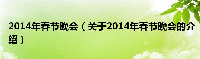 2014年春节晚会（关于2014年春节晚会的介绍）