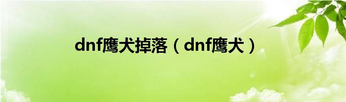 dnf鹰犬掉落（dnf鹰犬）