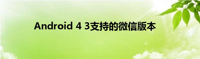 Android 4 3支持的微信版本