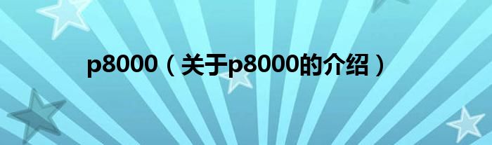 p8000（关于p8000的介绍）