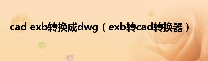 cad exb转换成dwg（exb转cad转换器）