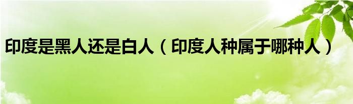 印度是黑人还是白人（印度人种属于哪种人）