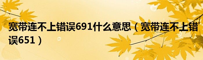 宽带连不上错误691什么意思（宽带连不上错误651）