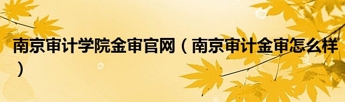 南京审计学院金审官网（南京审计金审怎么样）